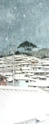 달동네61