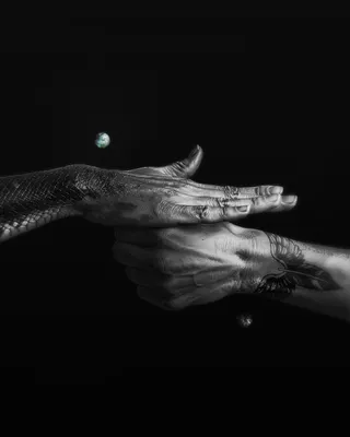Emotion : 25.08.31