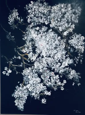 CHERRY BLOSSOM1