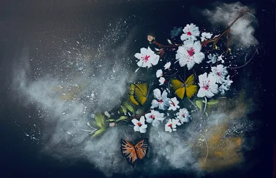 화야(花夜)