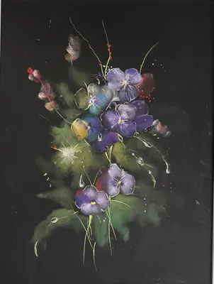 Pansy