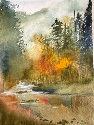 Foggy forest
