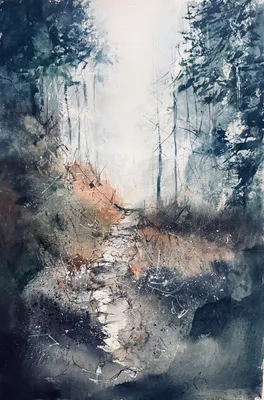 Inner foggy forest