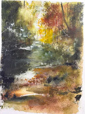 Lonely forest