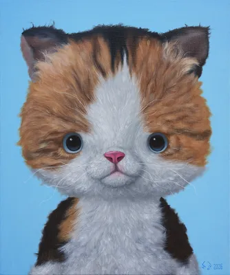 이노강, 봉식이, 2026