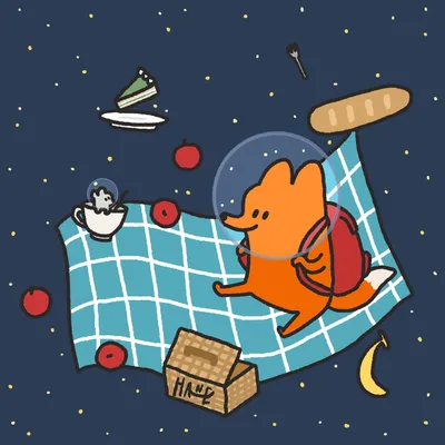 우주 피크닉