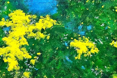 후후, 스며들다 39 부제 : Grieg Violin Sonata No. 3, Op. 45 - II. Allegretto espressivo alla Romanza, 2024