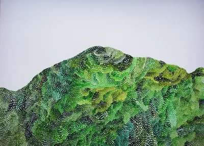 이끼 산 1 (Mossy Mountain I)