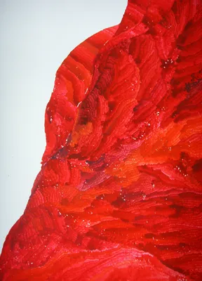 날개 (Wings)