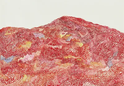 산의 모세혈관 (Capillaries of the Mountain)