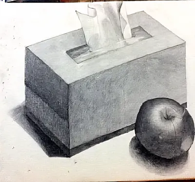 이 은지, 휴지상자와 사과, 2011