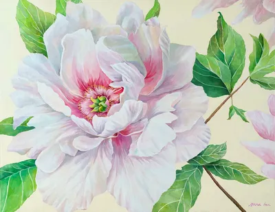 인신영, 삼삼춘몽 (滲參春夢) vol.2, 2017